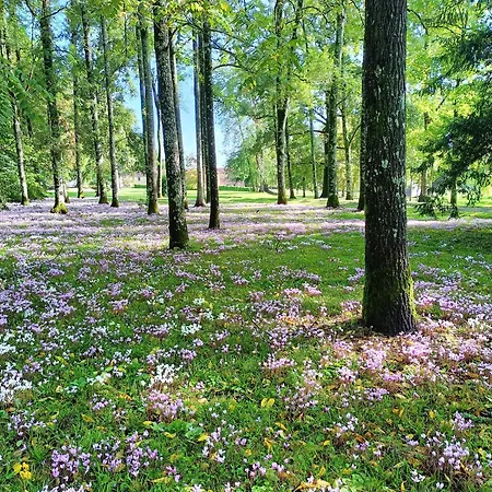 Prázdninový dům Cottage