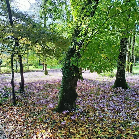 Prázdninový dům Cottage *