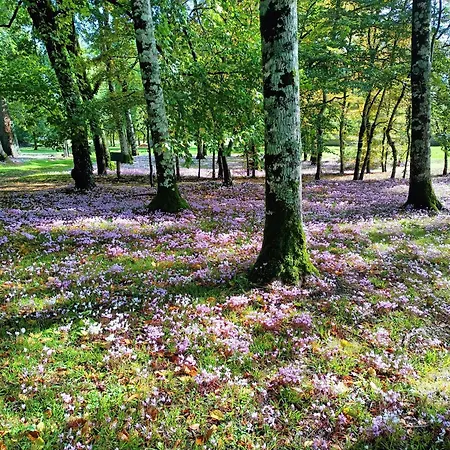 Prázdninový dům Cottage La Chapelle-Baton