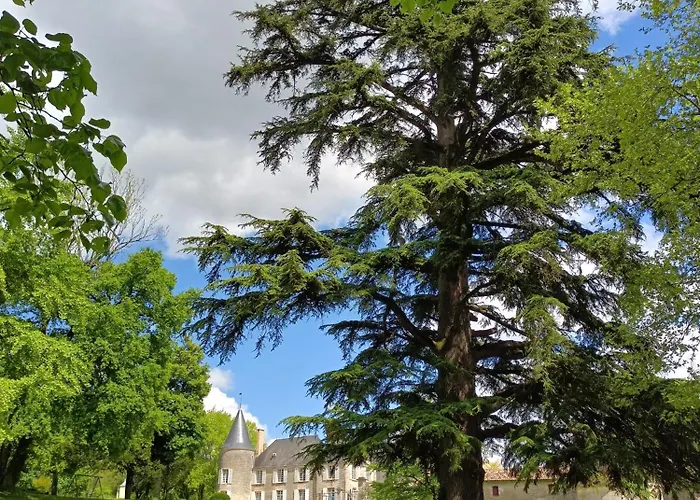 Cottage بيت للعطل La Chapelle-Baton