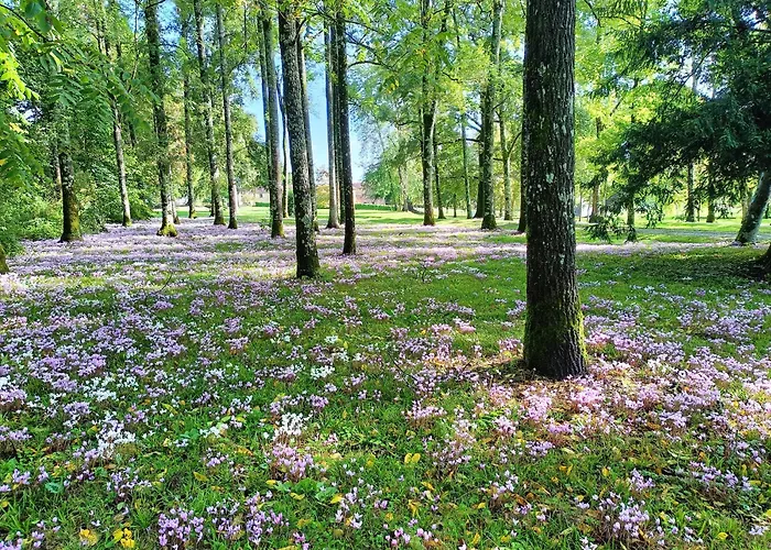 بيت للعطل Cottage