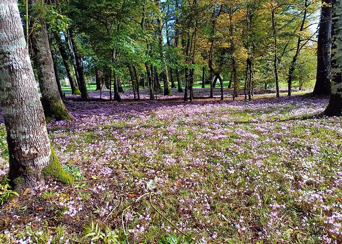 بيت للعطل Cottage La Chapelle-Baton
