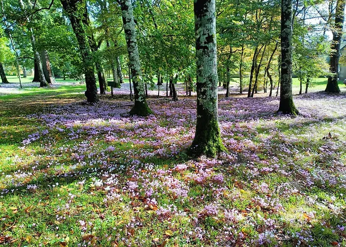 بيت للعطل Cottage La Chapelle-Baton